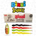 DINKI SNAKE MALLA